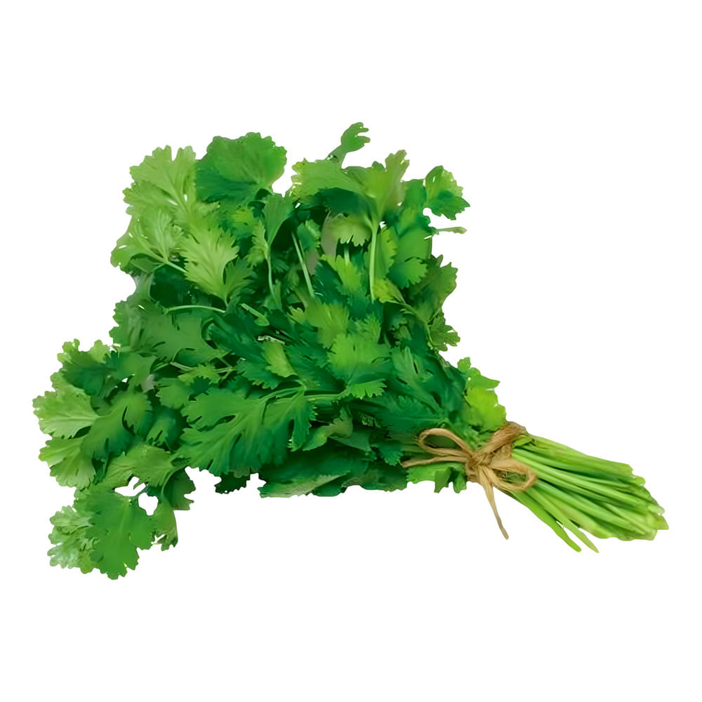 Salada Salsa Suprema 100g