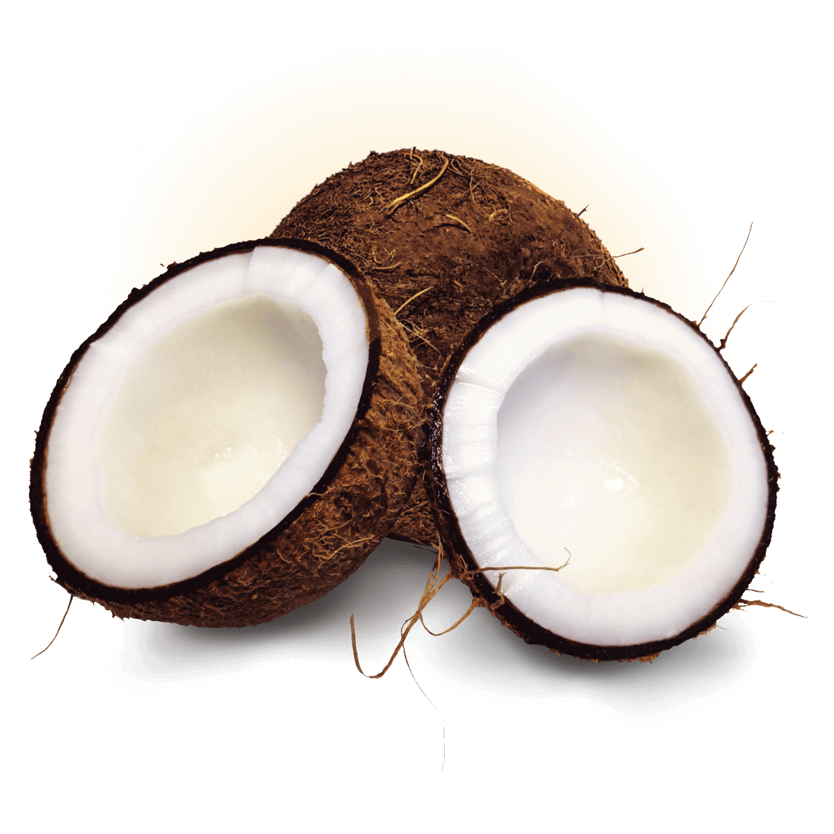 Coco Seco Quebrado